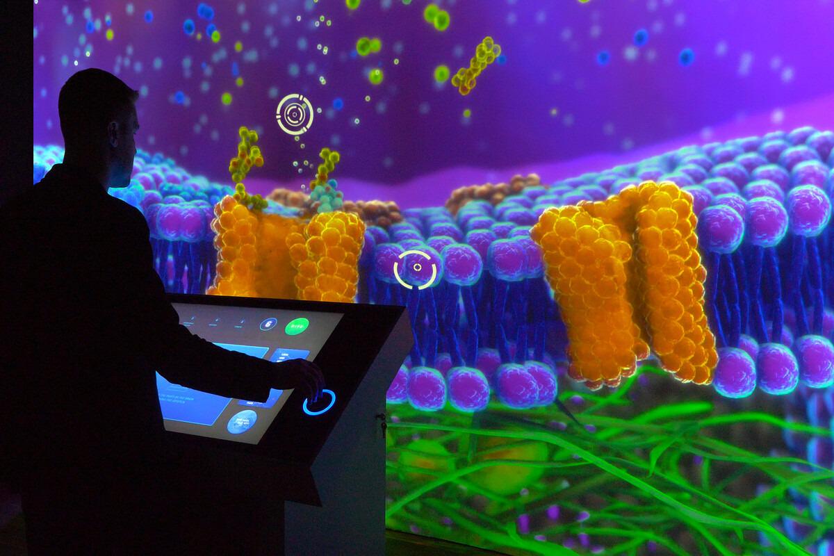 內容多元化與用戶互動設計